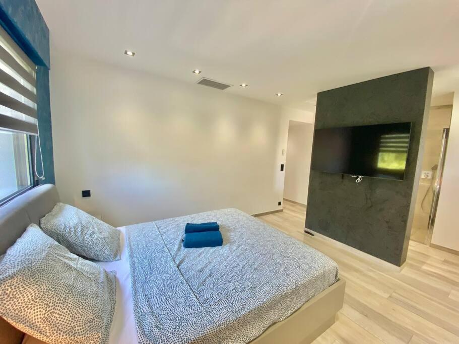 Villa Maria 8/10 Pax Piscine Et Spa *